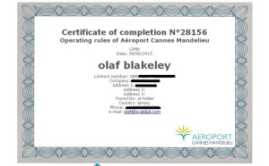 Cannes Briefting Cert