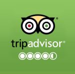 trip advisor