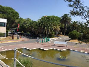 Photo 12-08-2015 12 03 57