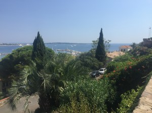 Photo 12-08-2015 15 24 32